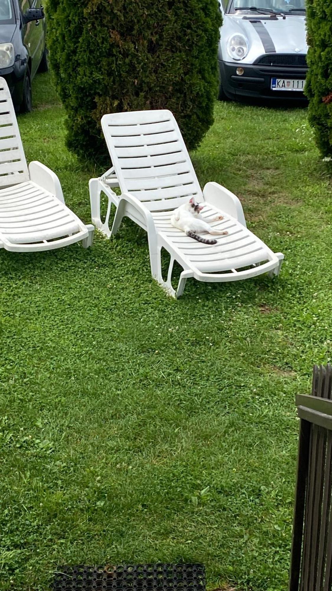 Guesthouse Magdalena Rakovica Dış mekan fotoğraf